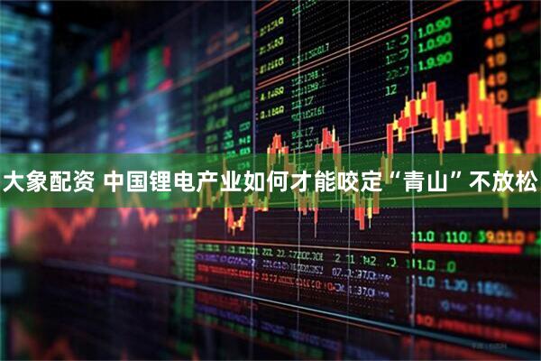 大象配资 中国锂电产业如何才能咬定“青山”不放松