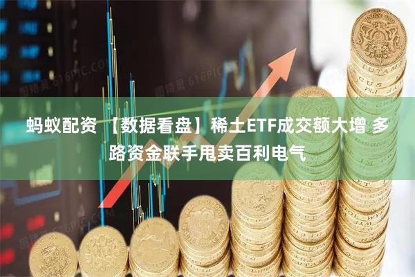 蚂蚁配资 【数据看盘】稀土ETF成交额大增 多路资金联手甩卖百利电气