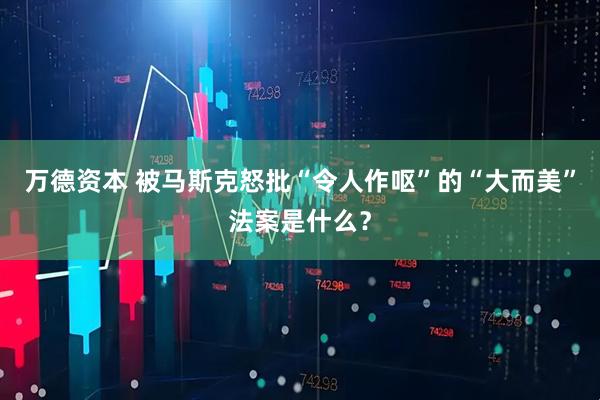 万德资本 被马斯克怒批“令人作呕”的“大而美”法案是什么?