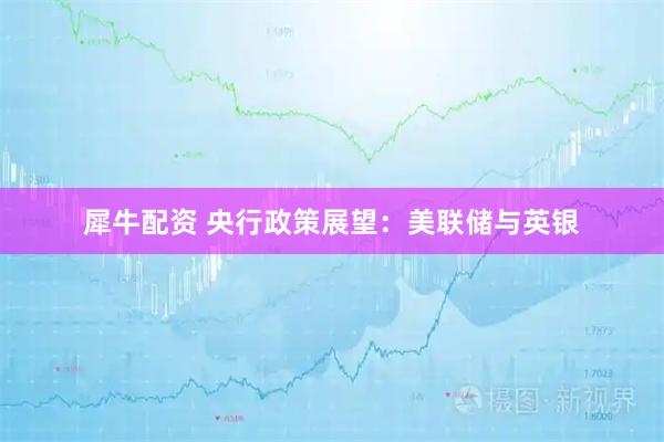 犀牛配资 央行政策展望：美联储与英银